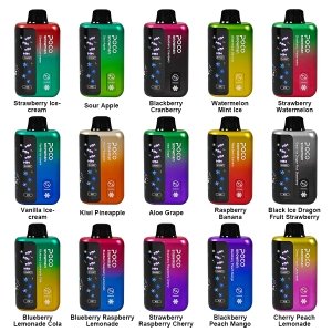 Poco Snowman 70000 puffs Vaper EU Warehouse Disposable Vape Puffs Vaper Adjustable coolness sweetness  